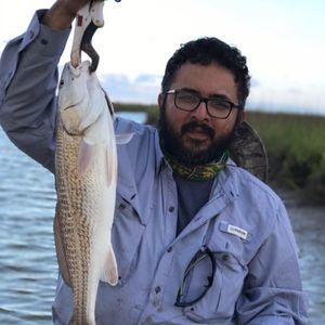 Meet your Posher, Gilberto